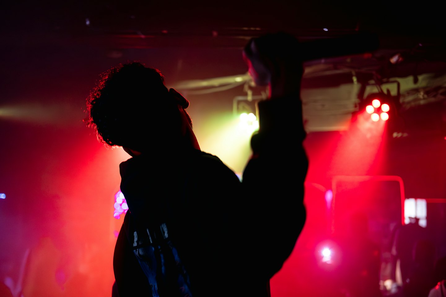 Performer singing into a microphone on a brightly lit stage.
